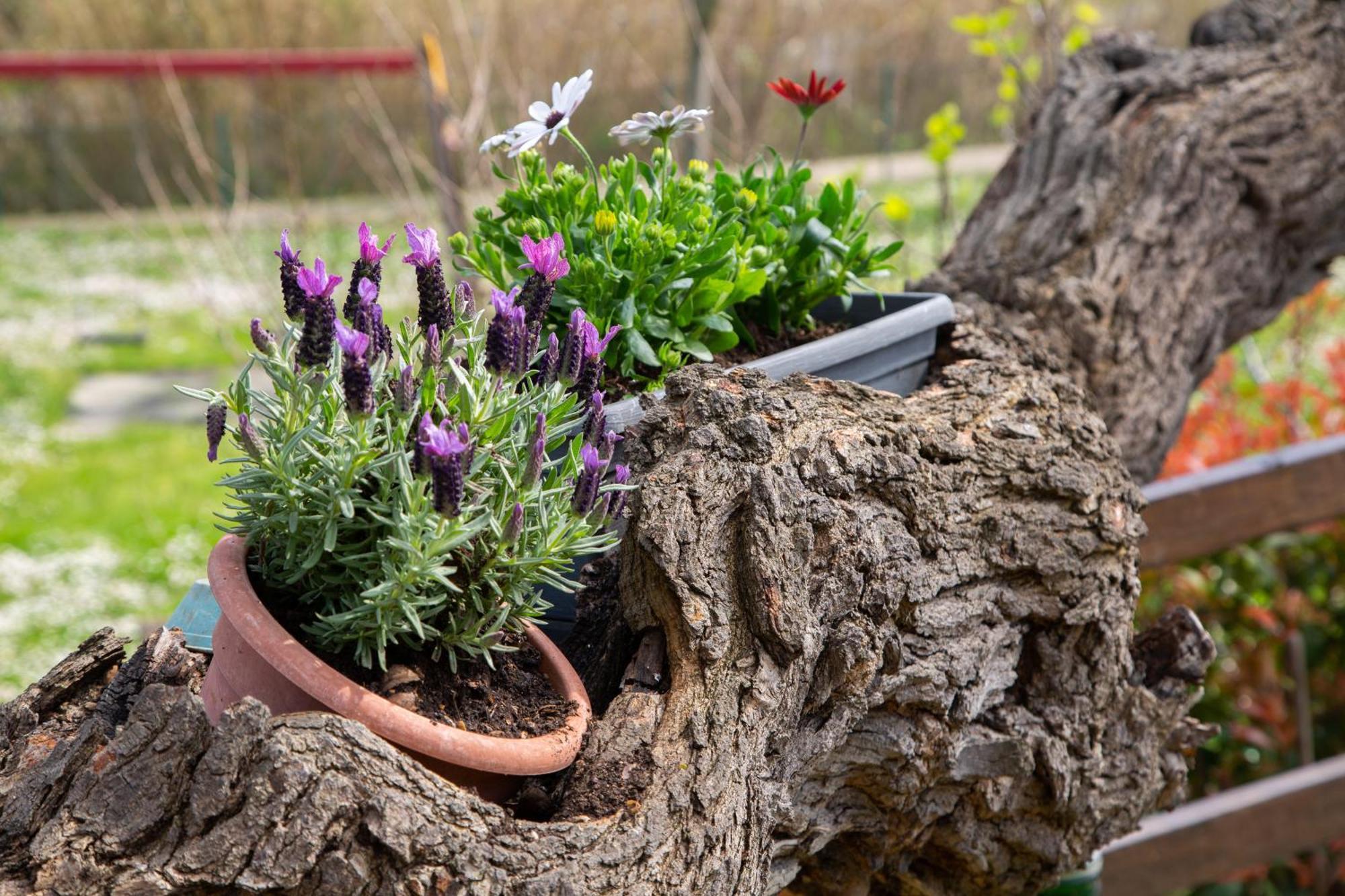 Bed & Breakfast Il Casolare Gradara